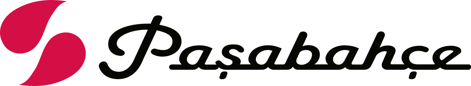 Paşabahçe_Logo